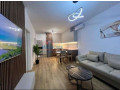 apartament-21-me-qira-te-zogu-i-zi-tirane-small-1