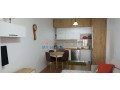 apartament-11-me-qera-ish-parku-ne-tirane-small-4