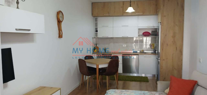 apartament-11-me-qera-ish-parku-ne-tirane-big-4
