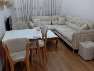 Apartament 1+1 me Qira te Ali Demi Tirane
