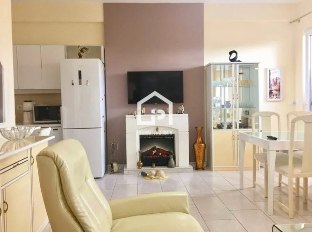 vile-me-qira-ne-vishaj-tirane-big-3