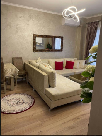 apartament-me-qira-31-ne-zonen-liqeni-i-thate-kopshti-botanik-big-0