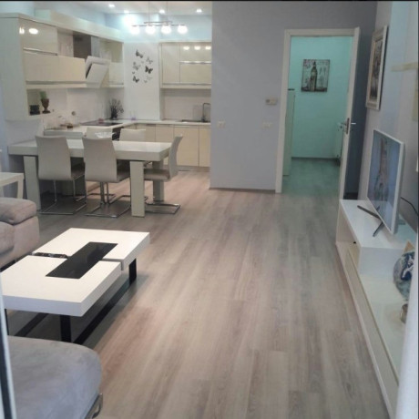 apartament-21-me-qira-tek-selvia-rr-e-dibres-gj-partizani-big-0