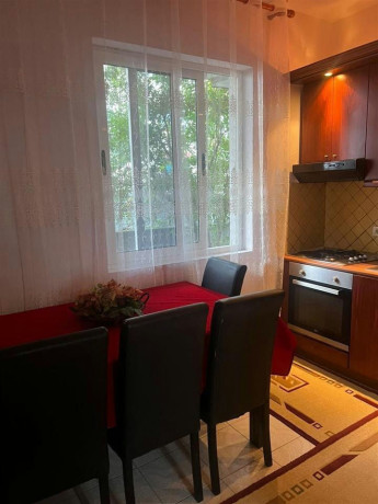 shtepi-me-qera-vile-11-vile-2-kateshe-laprake-spitali-ushtarak-dogana-big-2