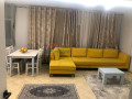 apartament-21-me-qera-tek-komuna-e-parisit-ne-tirane-small-0