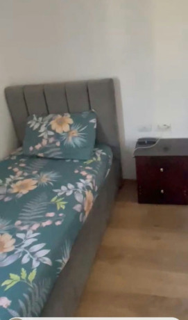 shtepi-me-qera-pallat-i-ri-21-kinostudio-porcelan-big-0