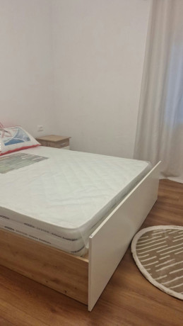 shtepi-me-qera-vile-21-vile-3-kateshe-ali-demi-tregu-elektrik-big-0